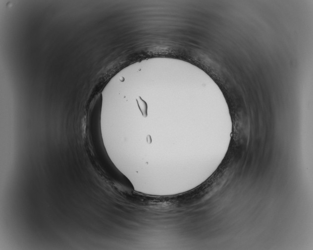 X0000094910454200712271516