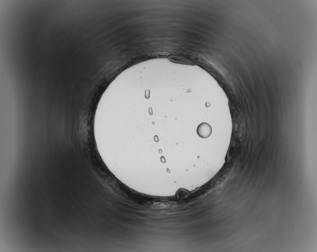 X0000094910455200712271516