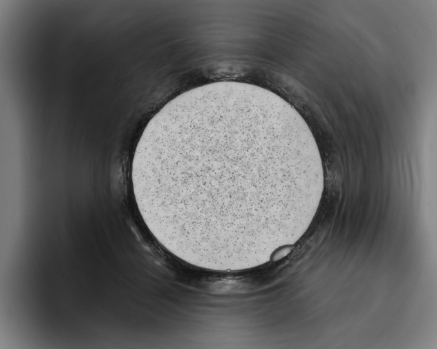 X0000094910460200712271516