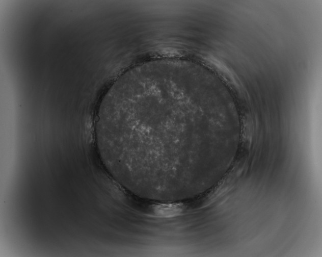 X0000094910465200712271516