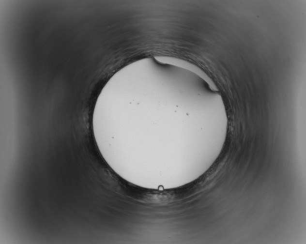 X0000094910466200712271516