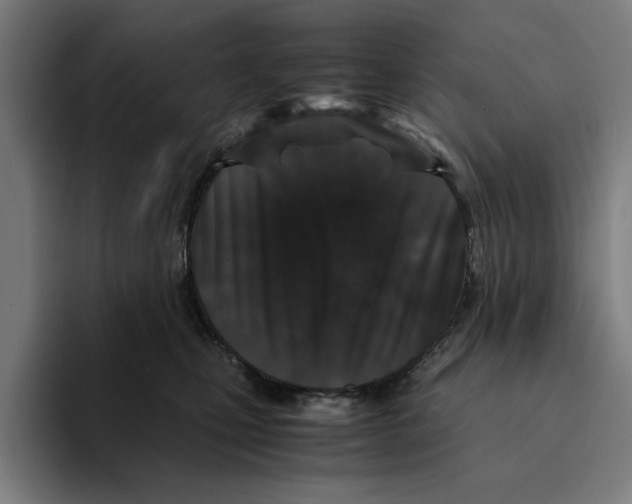 X0000094910471200712271516