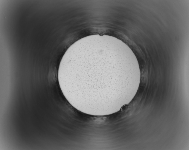 X0000094910474200712271516