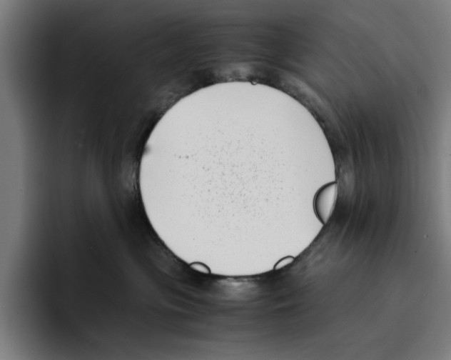 X0000094910477200712271516