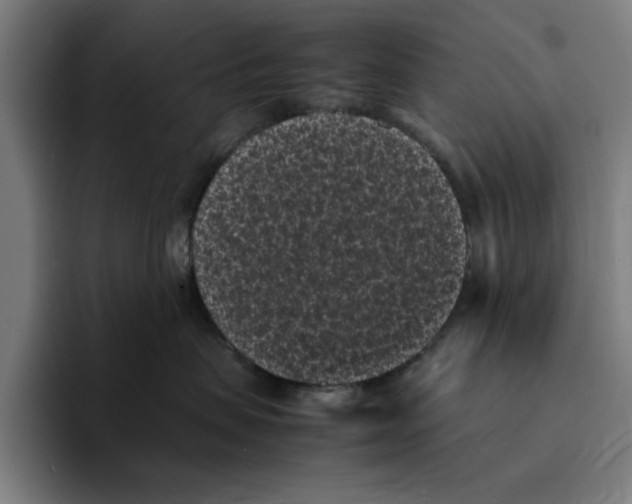 X0000094910479200712271516