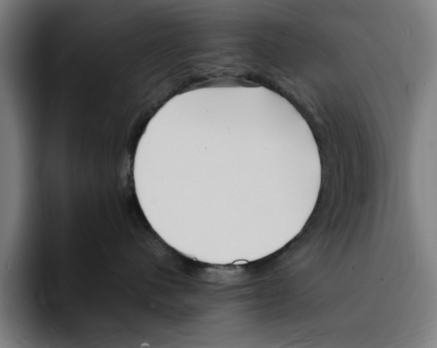 X0000094910480200712271516