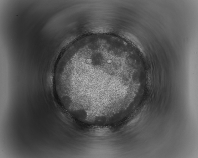 X0000094910491200712271515