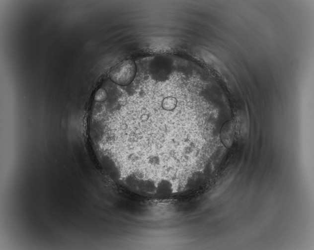 X0000094910495200712271515