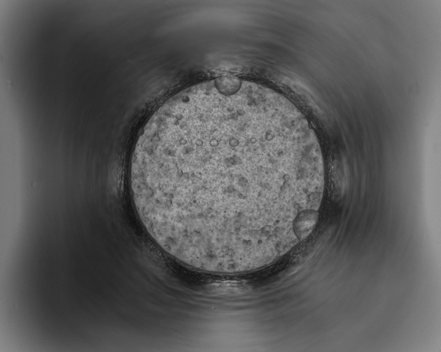 X0000094910499200712271515