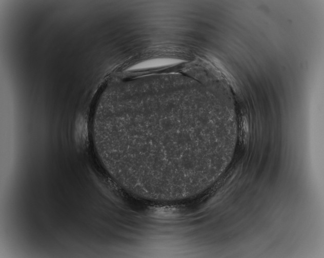 X0000094910500200712271515