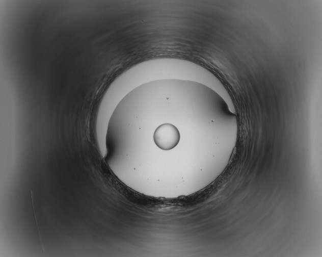 X0000094910504200712271515