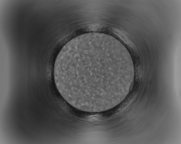 X0000094910505200712271515