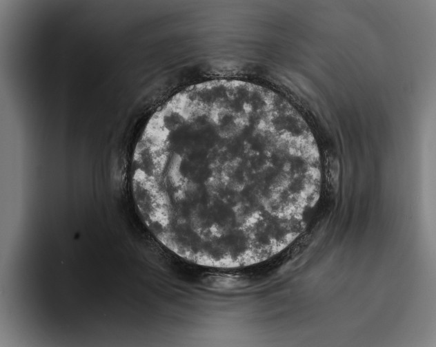 X0000094910507200712271515