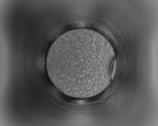 X0000094910509200712271515