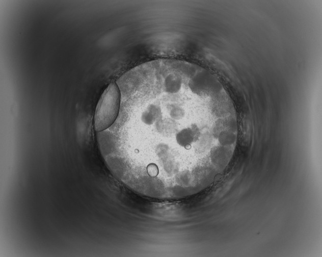 X0000094910511200712271515