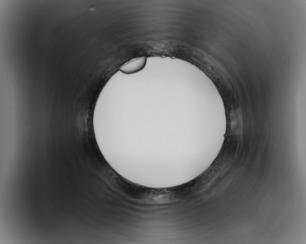 X0000094910514200712271515