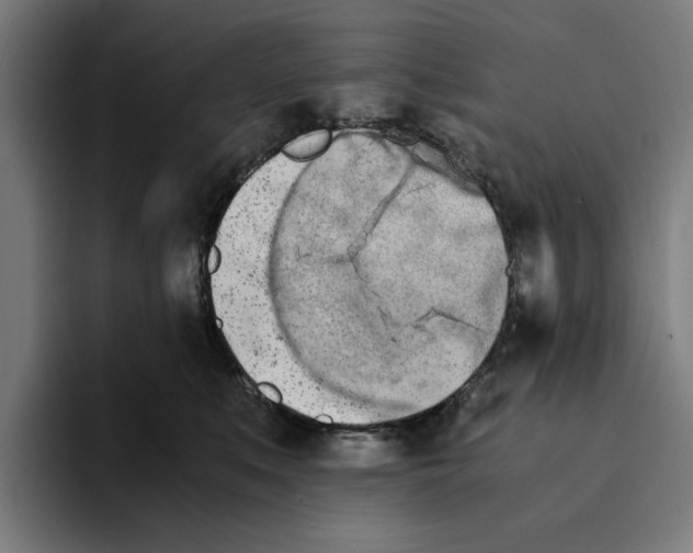 X0000094910519200712271515