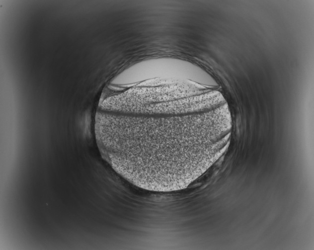 X0000094910520200712271515