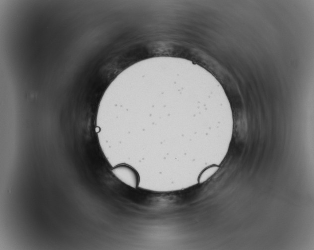 X0000094910525200712271515