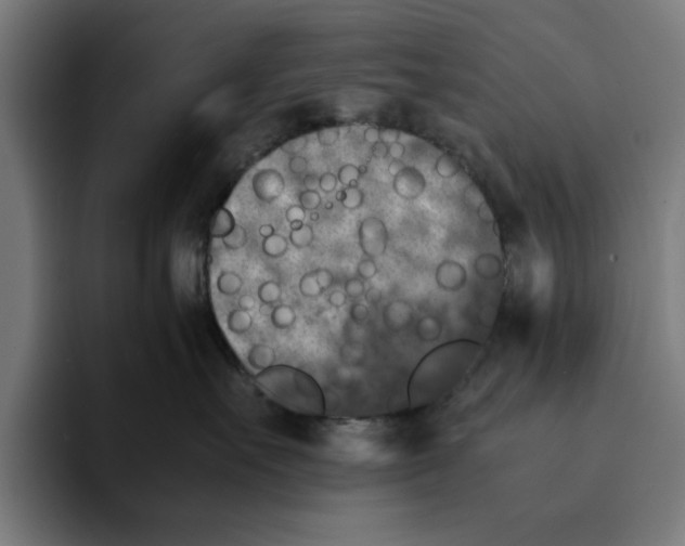 X0000094910527200712271515