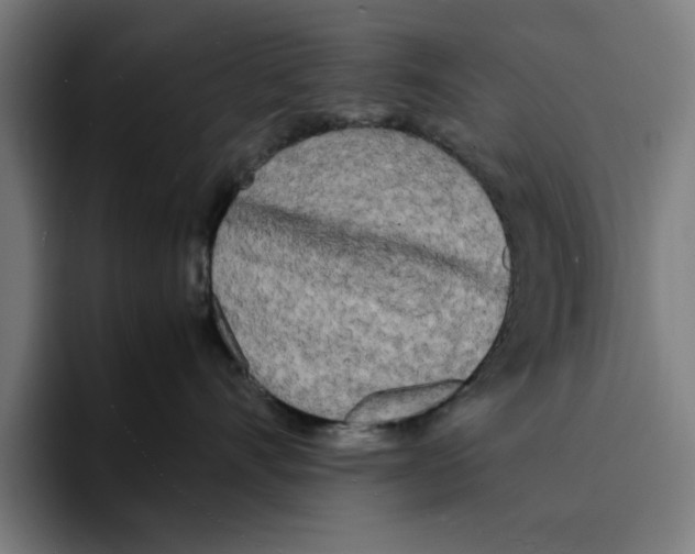 X0000094910528200712271515