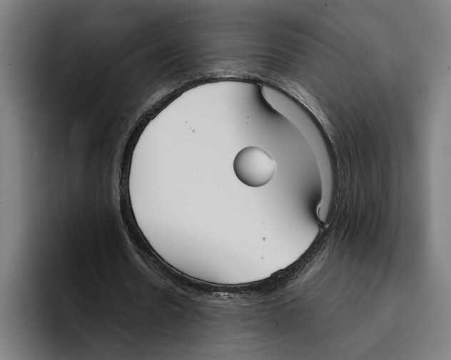 X0000094910530200712271514