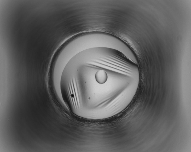 X0000094910532200712271514