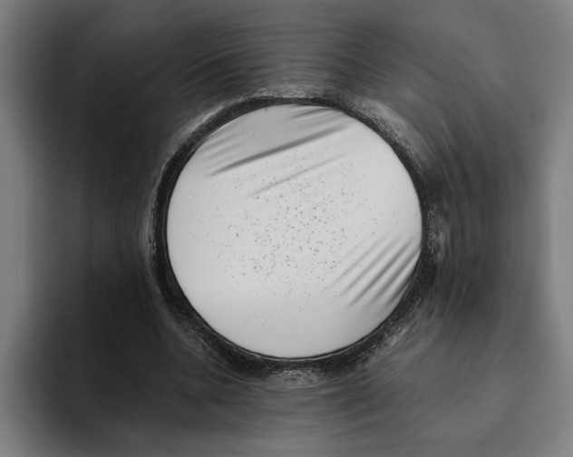 X0000094910536200712271514