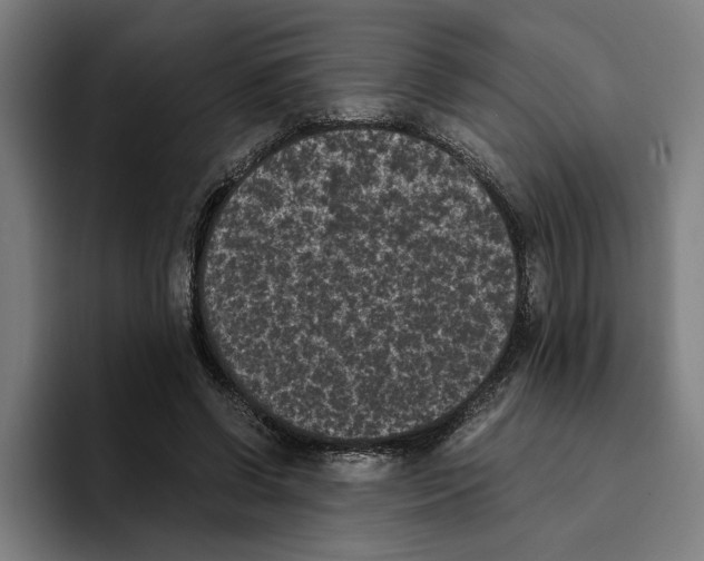 X0000094910542200712271514