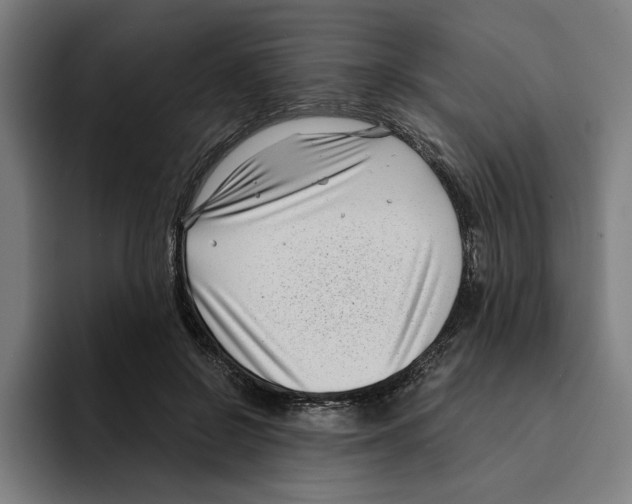 X0000094910550200712271514