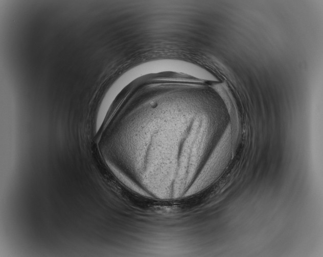 X0000094910552200712271514