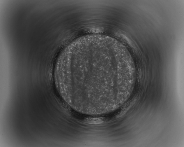 X0000094910553200712271514