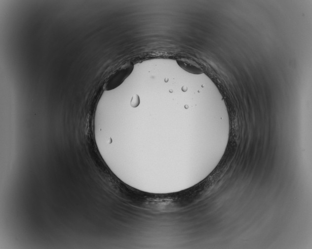 X0000094910554200712271514