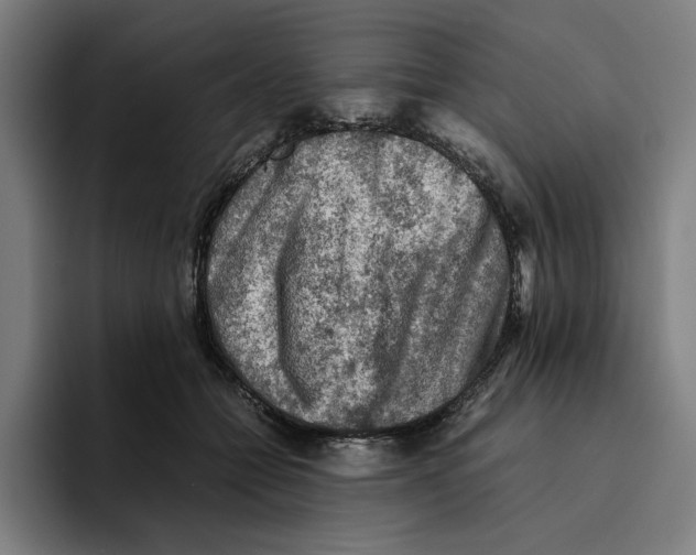 X0000094910558200712271514