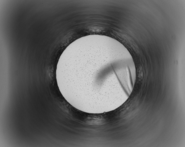 X0000094910559200712271514