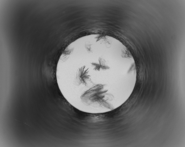 X0000094910569200712271515
