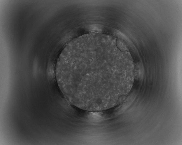 X0000094910573200712271515