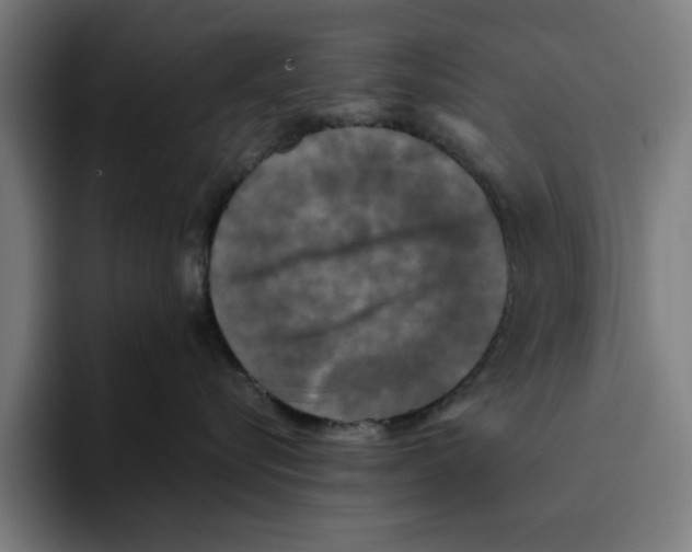 X0000094910576200712271515