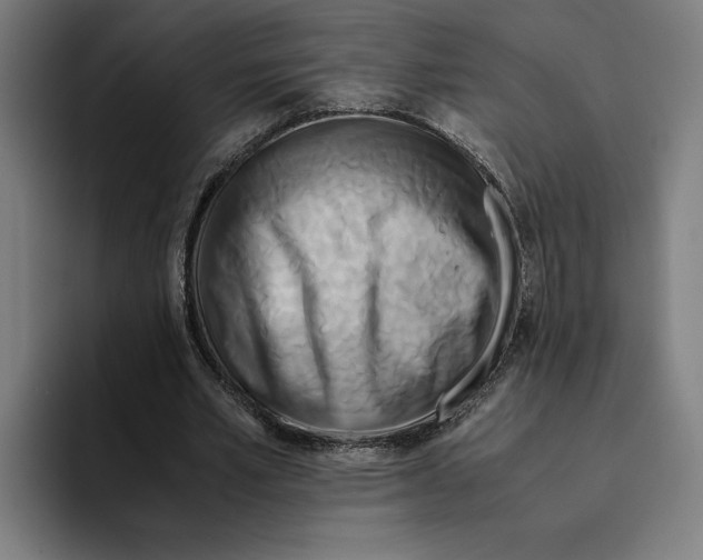 X0000094910581200712271514