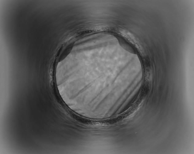 X0000094910585200712271514