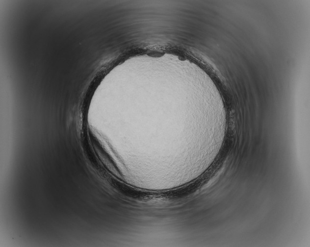 X0000094910589200712271514