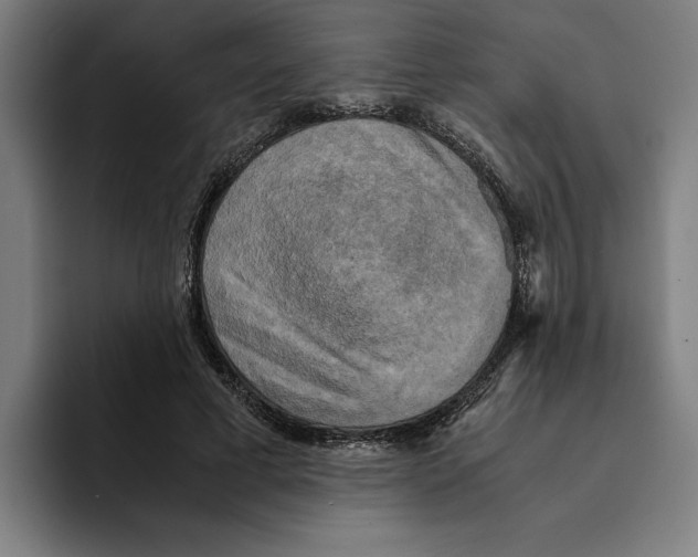 X0000094910593200712271514