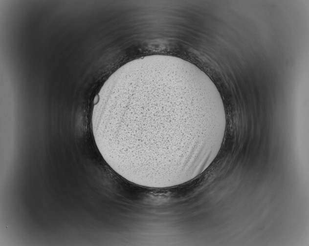 X0000094910606200712271514