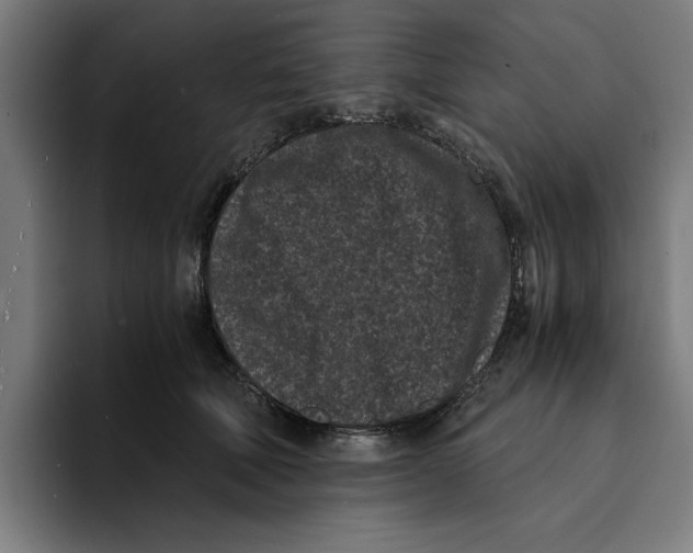 X0000094910610200712271514