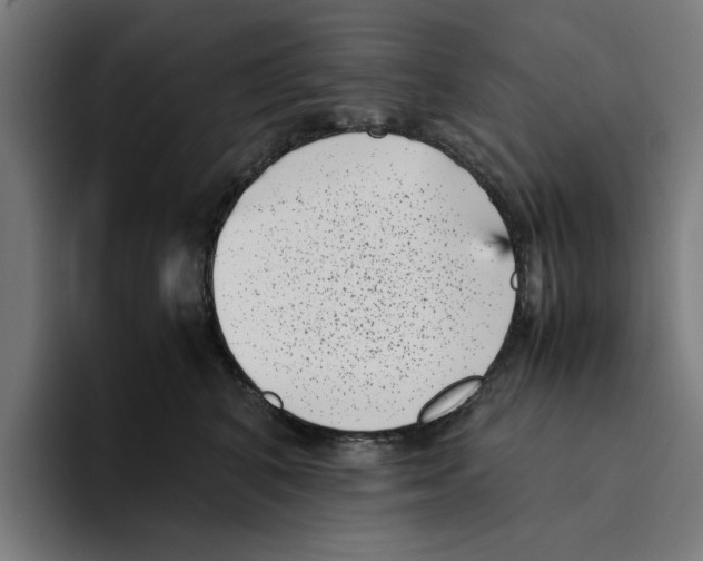 X0000094910616200712271514