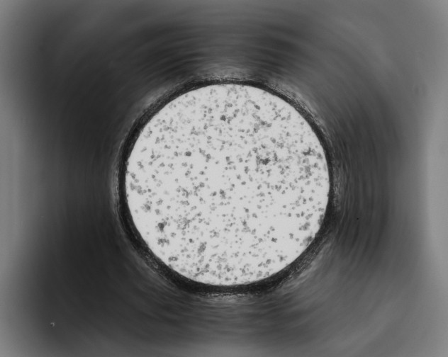 X0000094910629200712271513