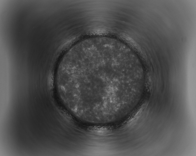 X0000094910640200712271513