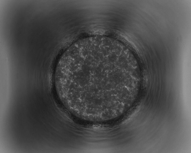 X0000094910641200712271513