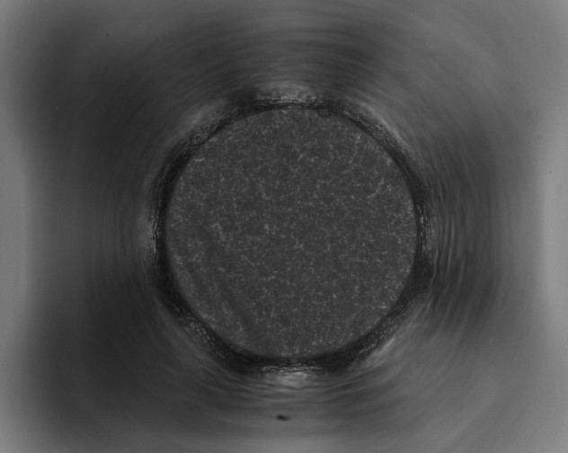 X0000094910643200712271513