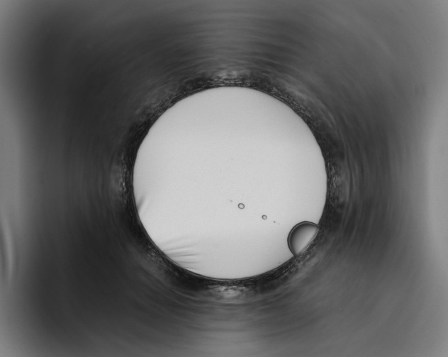 X0000094910654200712271513